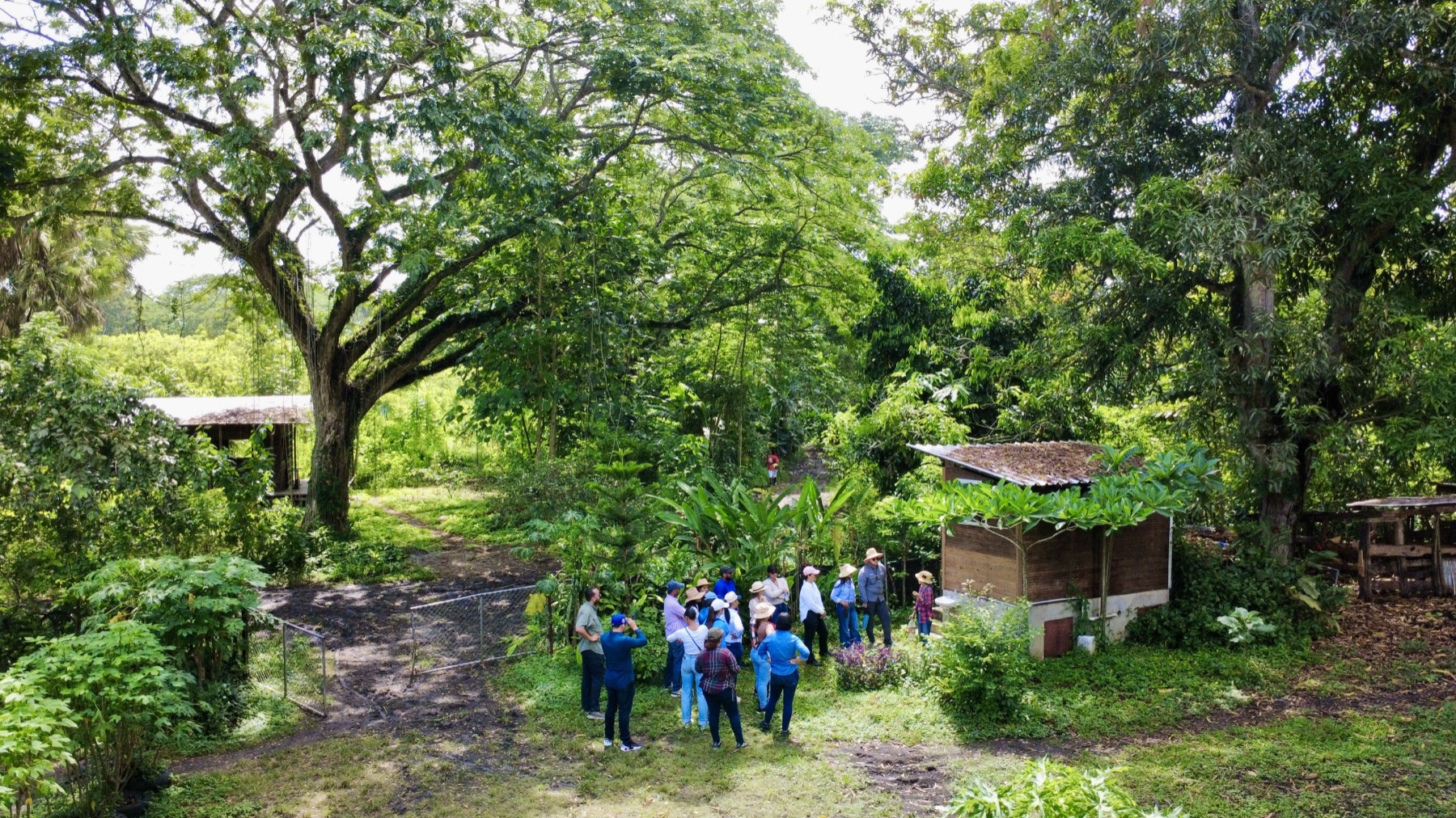 Visita y experiencias en Finca Tierra Negra