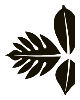 Finca Tierra Negra